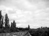 Long way
